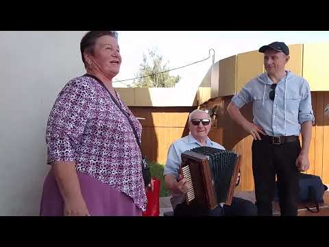 Видео: 31.08.25г.Гармонь.Частушки спели хорошо и сплясали в последний день лета.Липецк.