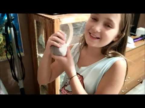 Видео: У нас две новости! Плохая и Хорошая.