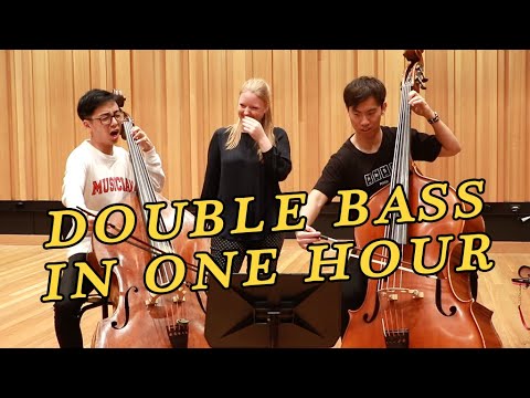 Видео: Мы пытаемся научиться играть на контрабасе за 1 час