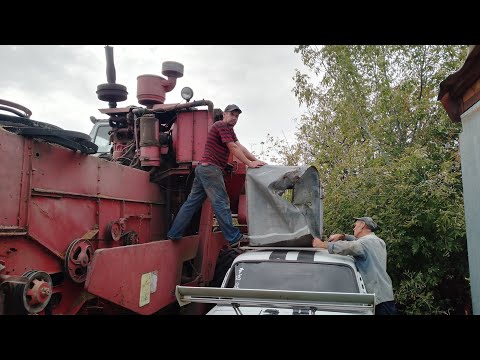 Видео: Жнива сої, дерево 🌲 міцніше за комбайн🙀