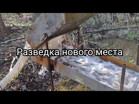 Видео: Разведка нового места
