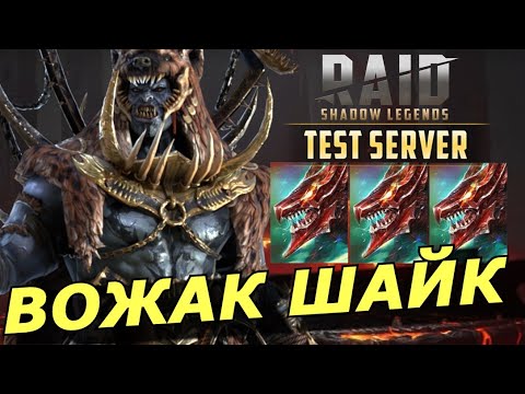 Видео: RAID: ВОЖАК ШАЙК И ЕГО СТАЯ 🐺🐺🐺 / АРЕНА /  ГИДРА (ГАЙД/ОЗОР) | Packmaster Shy'ek