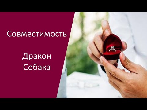 Видео: Совместимость Дракон и Собака по китайскому гороскопу между мужчиной и женщиной