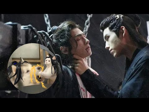 Видео: (недо)обзор новеллы Эрха/Хаски и его Учитель Белый Кот