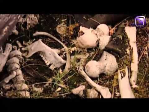 Видео: Якутские ойуны. Из цикла "Колдуны мира". 2012