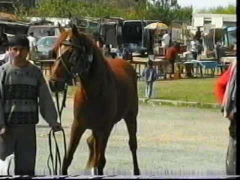 Видео: хедерлези 05 1