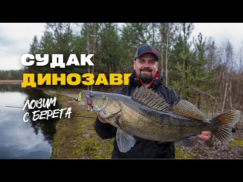 Видео: Ловля Судака Весной с берега Где искать и На что ловить?