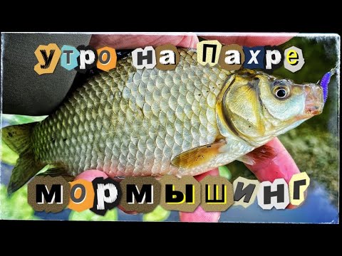 Видео: Мормышинг ! Утро на Пахре