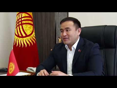 Видео: Депутат Алишер Козуев «Мыйзам жана Турмуш» программасында!