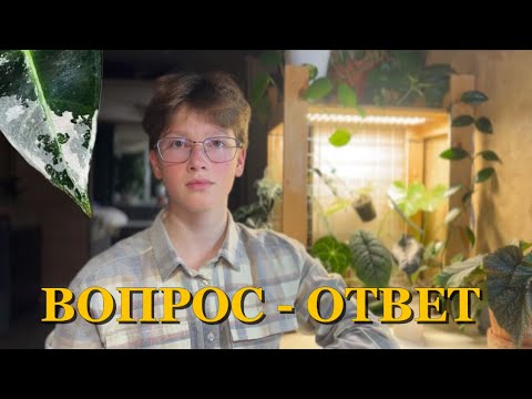 Видео: Ответы на вопросы о комнатныхрастениях | Вы спрашивали — я отвечаю! 