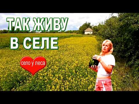 Видео: 🌿Моя жизнь в селе. Просто и без пафоса. Огурцы по бабушкиному рецепту.