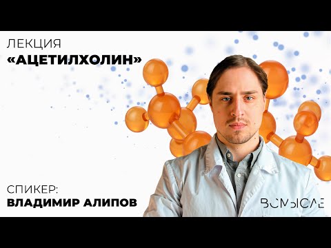 Видео: Ацетилхолин. Владимир Алипов