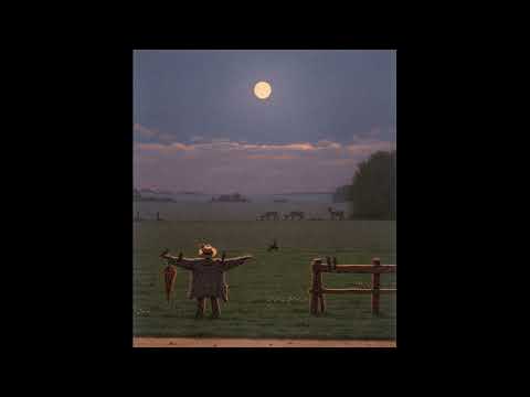 Видео: Электроптицы - Ночь Закончится