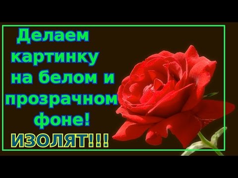 Видео: Как сделать картинку на белом и прозрачном фоне! ИЗОЛЯТЫ! Gimp уроки.