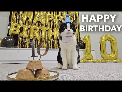 Видео: О нет! Это двухзначное число! Это Юбилейная дата!