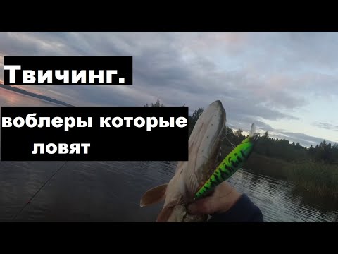 Видео: Твичинг  Воблеры которые ловят.