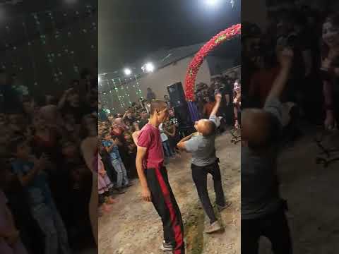 Видео: 24 ноября 2022 г.