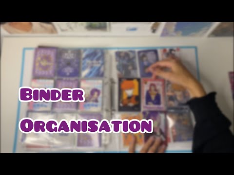 Видео: Anime binder organisation | распределяем Миадзаки | закрытие страниц псов | болтовн
