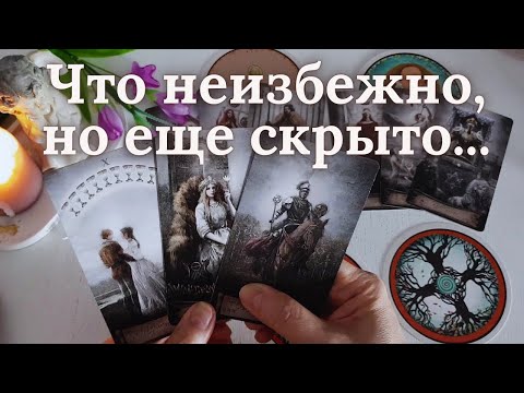 Видео: 🎡КОЛЕСО СУДЬБЫ: Прошлое, Настоящее, Будущее... Ниса Таро Онлайн