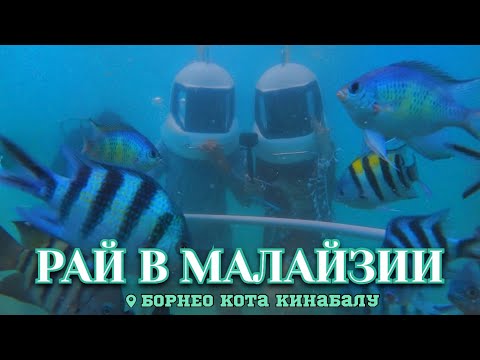 Видео: Кота Кинабалу за 3 ДНЯ (острова, джунгли, вараны, горы, деревушка Кундасан) БОРНЕО, Малайзия