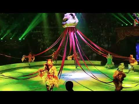 Видео: АТТРАКЦИОН "РУССКИЙ МИШКА" П/Р АЛИИ ТАКШАНТОВОЙ, ШОУ "МИРАС", КАЗАНСКИЙ ЦИРК 