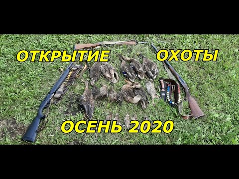 Видео: Открытие охоты на уток 2020