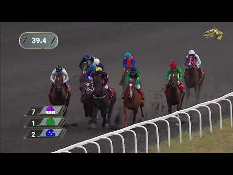 Видео: 6-я Скачка Приз Министерства сельского хозяйства и продовольствия РТ (Гранита II) (2гр)