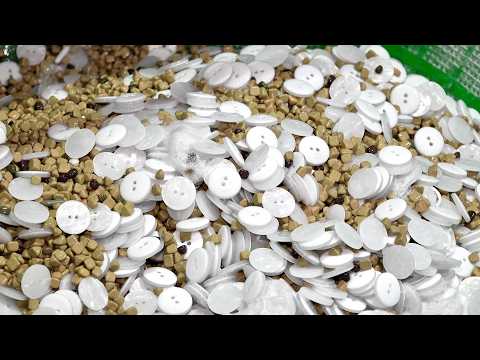 Видео: Процесс изготовления пуговицы из жидкого полиэстера. Как массово производить пуговицы в Корее