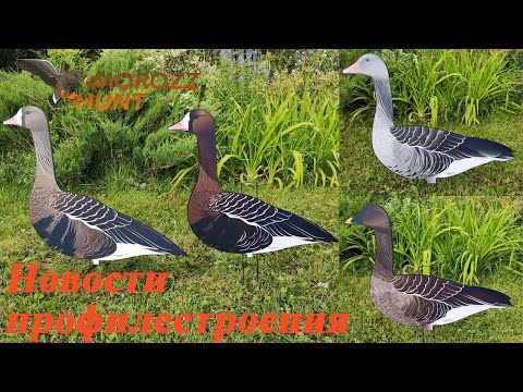 Видео: Наши новинки 2023