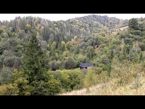 Видео: Уединенный горно-лесной домик вдали от цивилизации. Тяжелая жизнь моих предков.