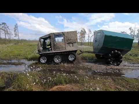 Видео: БОРУС НА ЯМАЛЕ  - часть 2 на рыбалку.