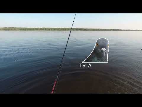 Видео: Рыбалка на спиннинг с берега в "глухолетье". Нижегородская область, Волга. КЛЕВ ТАКОЙ, ЧТО...(шутка)