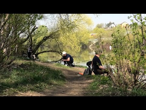Видео: РЫБАЛКА В ТОЛПЕ...