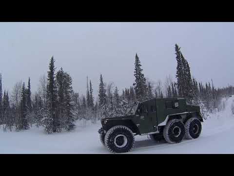 Видео: неудачная прогулка