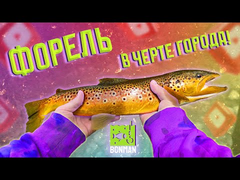 Видео: ФОРЕЛЬ в черте города! Рыбалка на спиннинг в Испании!