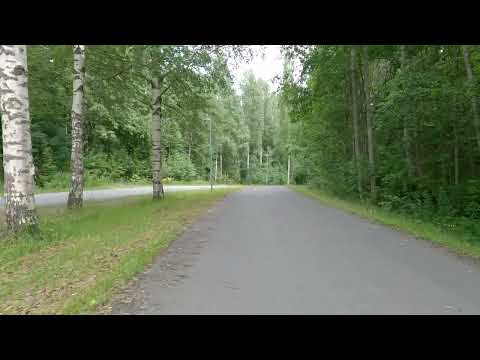 Видео: Очерк Лета.