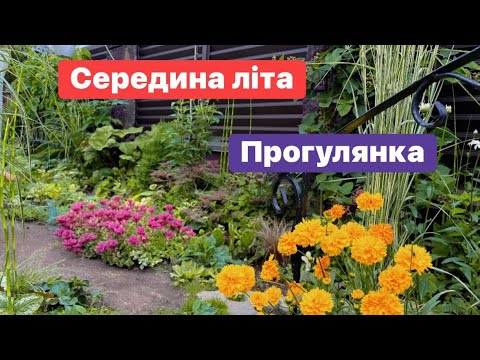 Видео: Сад після спеки,прогулянка під дощиком