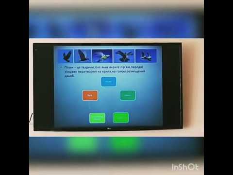 Видео: Природознавство (3 клас). Птахи.