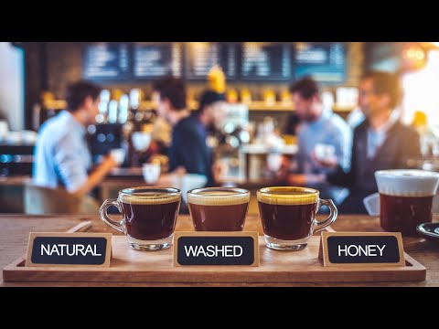 Видео: Методы обработки кофе: натуральный, мытый и медовый