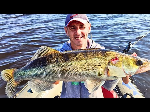 Видео: ЛОВЛЯ ПАСИВНОГО СУДАКА на ДЖИГ, Рибалка на судака