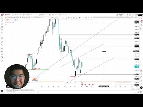 Видео: Алтан дээр шинжилцгээе