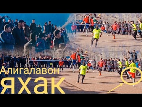 Видео: ВАЛИБОЛ ЯХАК ВА АЛИГАЛАВОН 20.01.2024 диди лайка мон