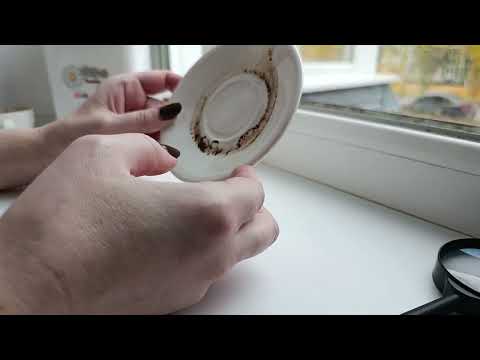 Видео: 🕵КТО ЗА ВАМИ НАБЛЮДАЕТ.  Гадание на кофейной гуще онлайн. 