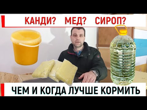 Видео: Канди? Мед? Сироп? Чем и КОГДА лучше кормить.