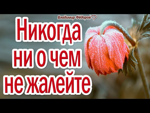 Видео: ДО СЛЁЗ - КАК ТРОГАТЕЛЬНО!  ДЛЯ ДУШИ! Музыка Эдгар Туниянц!