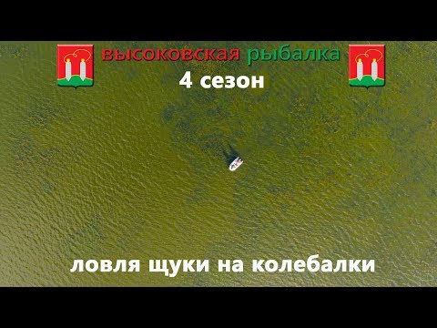 Видео: простая рыбалка на колеблющуюся блесну