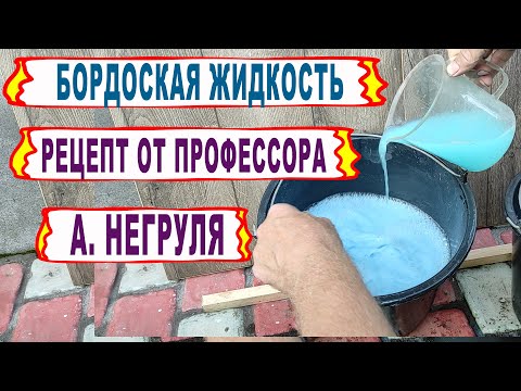 Видео: 🍇 Настоящая БОРДОСКАЯ ЖИДКОСТЬ от профессора НЕГРУЛЯ. А ты тоже всю жизнь делал ее НЕПРАВИЛЬНО?