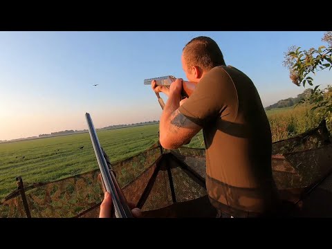 Видео: Охота на ворон - Хорошая стрельба с мальчиками