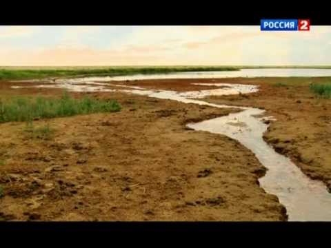 Видео: РГО и Моя планета о заповеднике "Черные земли"