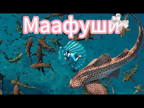 Видео: МАЛЬДИВЫ 2025: подводный обзор самых популярных экскурсий с острова Маафуши